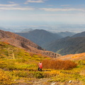 Грузия, Аджария